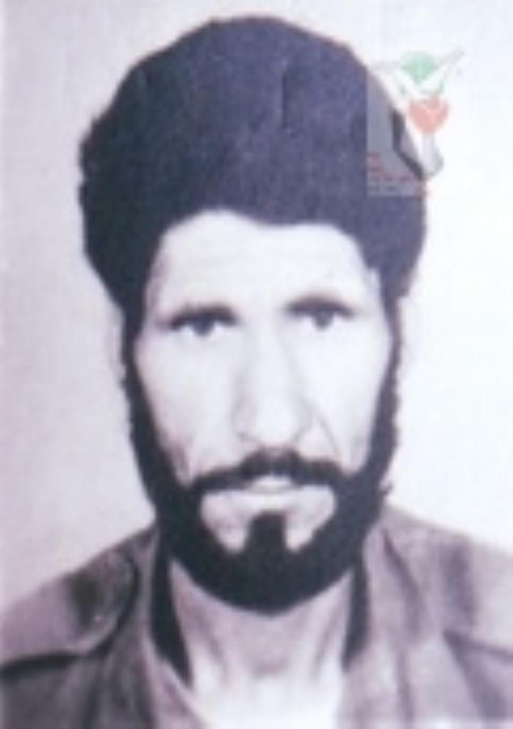 فاقد تصویر